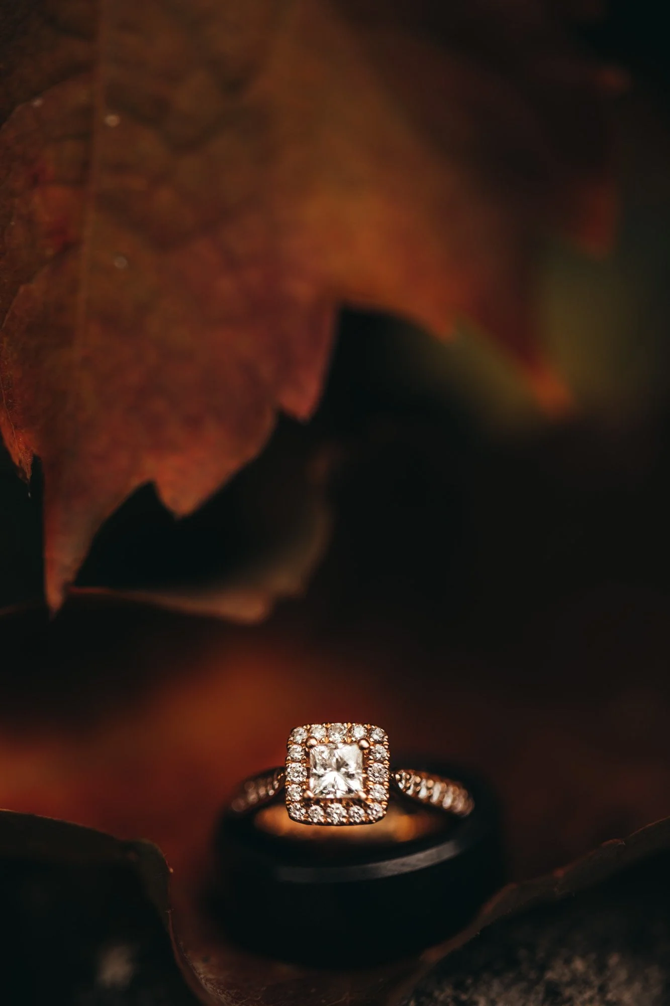 Wedding Photographer, Chicago Wedding Photographer